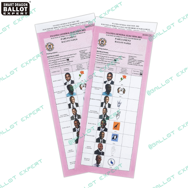 ballot-paper-voting